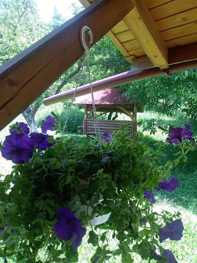 Котедж "Барвінок" Werchowyna Exterior foto