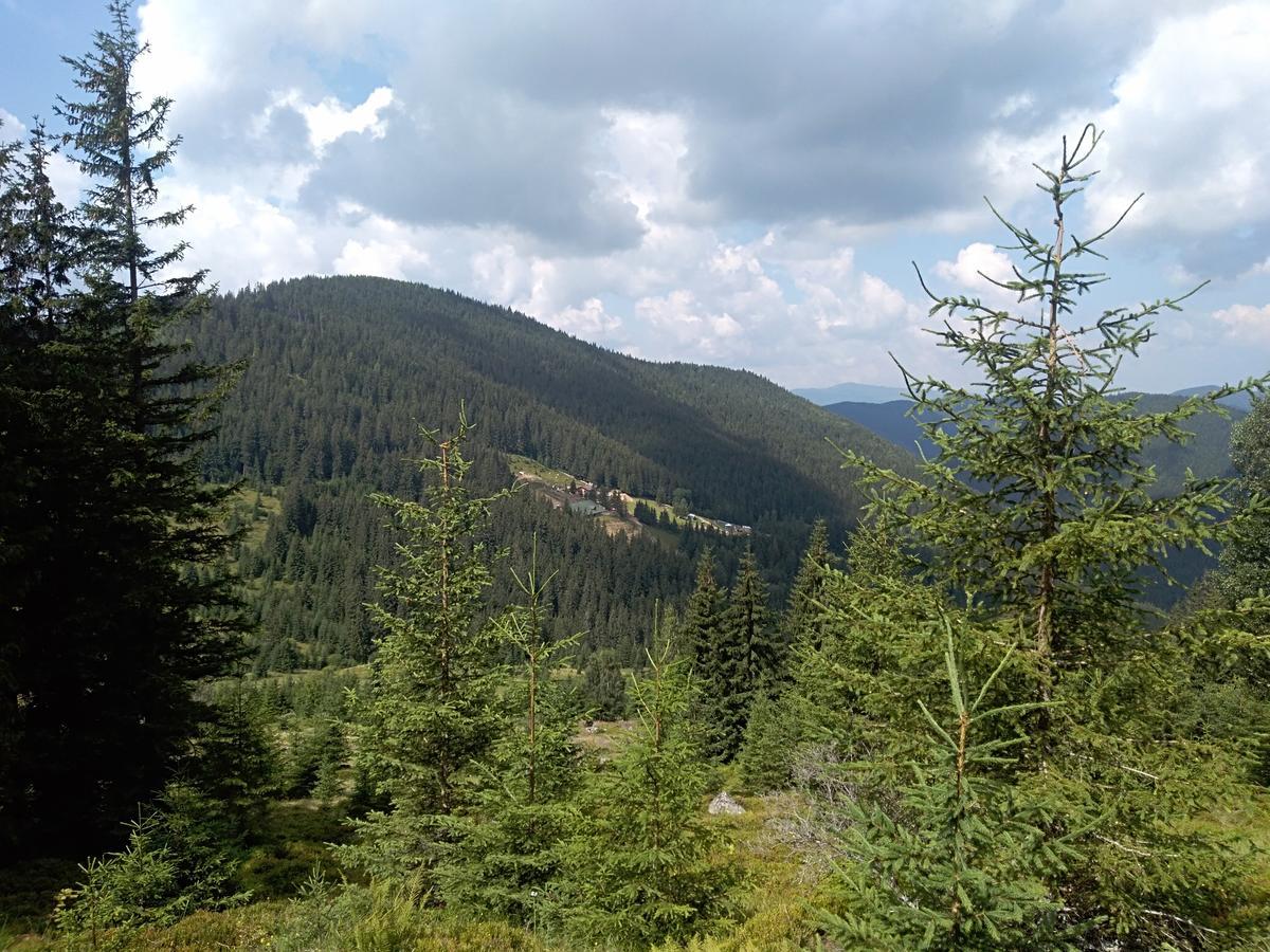 Котедж "Барвінок" Werchowyna Exterior foto