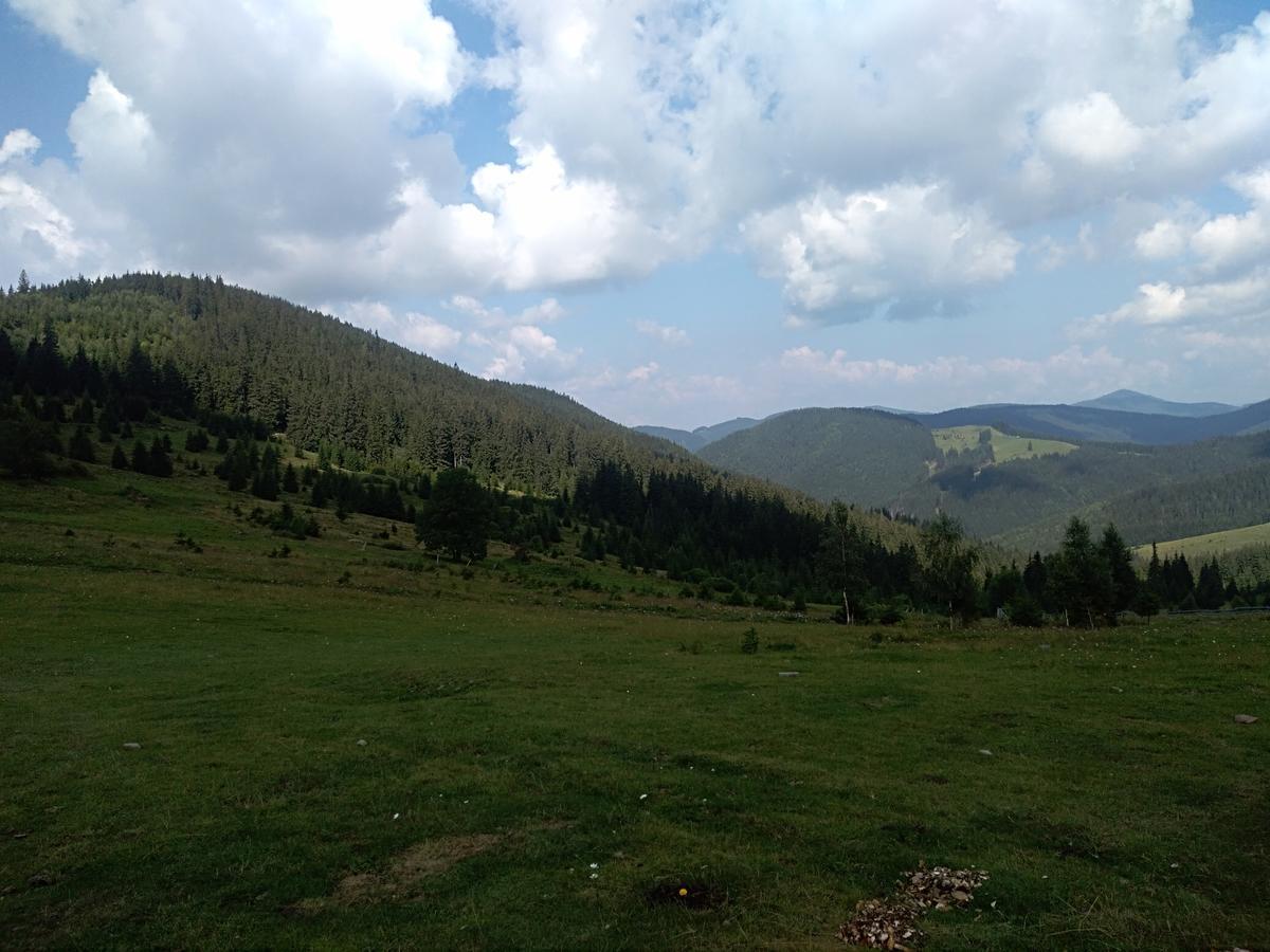 Котедж "Барвінок" Werchowyna Exterior foto