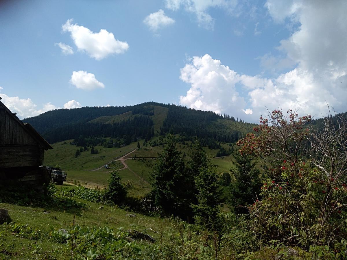 Котедж "Барвінок" Werchowyna Exterior foto