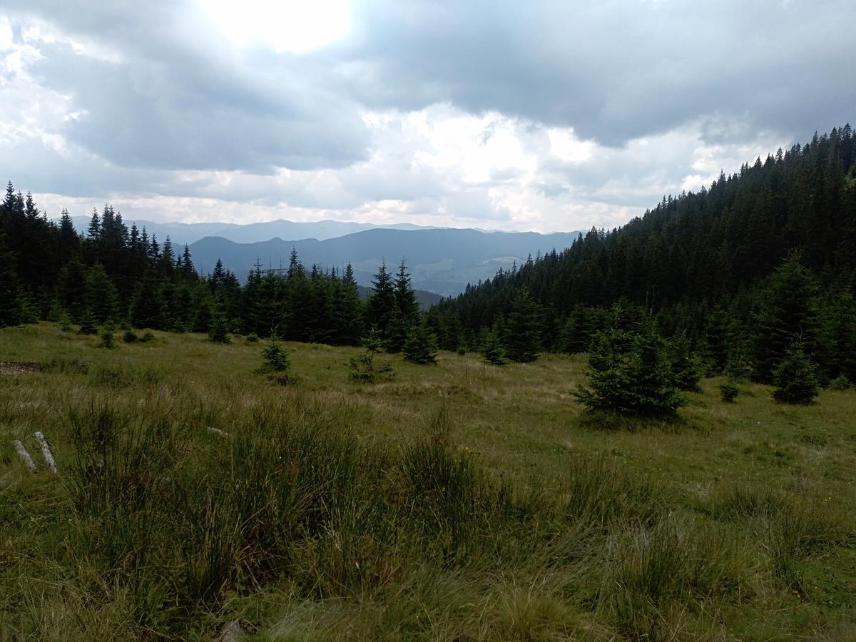 Котедж "Барвінок" Werchowyna Exterior foto